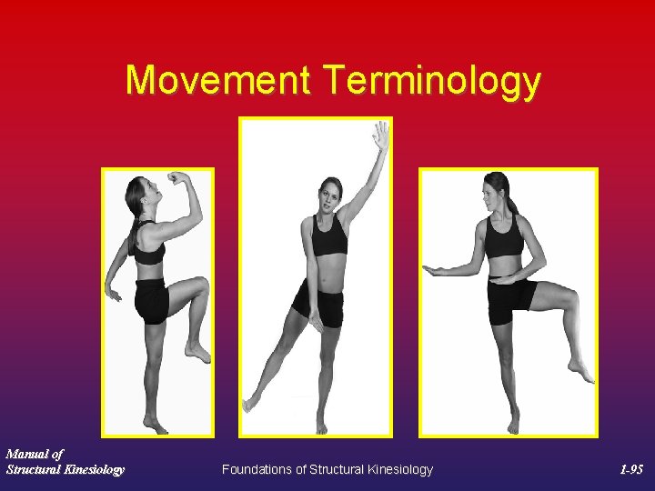 Movement Terminology Manual of Structural Kinesiology Foundations of Structural Kinesiology 1 -95 