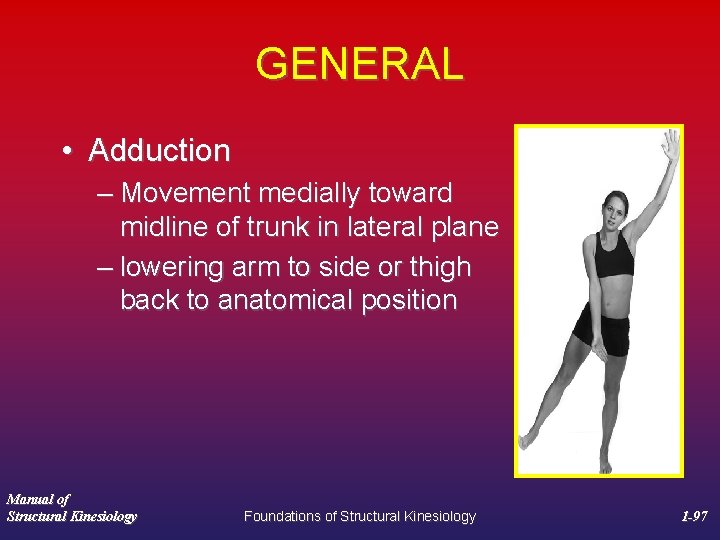 GENERAL • Adduction – Movement medially toward midline of trunk in lateral plane –