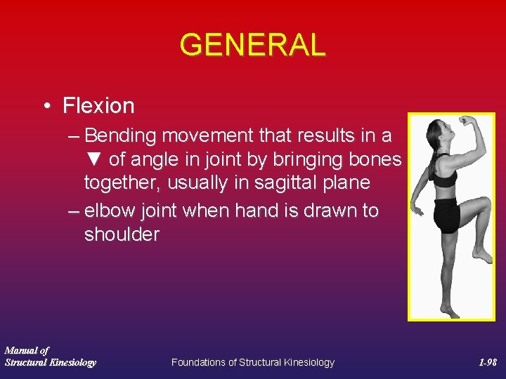 GENERAL • Flexion – Bending movement that results in a ▼ of angle in