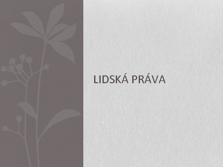 LIDSKÁ PRÁVA 