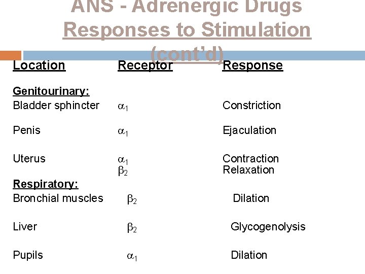 ANS - Adrenergic Drugs Responses to Stimulation (cont’d) Location Receptor Response Genitourinary: Bladder sphincter