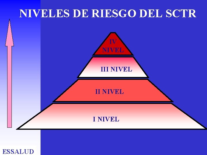 NIVELES DE RIESGO DEL SCTR IV NIVEL III NIVEL ESSALUD NIVELES DE RIESGO DEL SCTR IV NIVEL III NIVEL ESSALUD