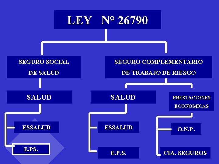 LEY N° 26790 SEGURO SOCIAL SEGURO COMPLEMENTARIO DE SALUD DE TRABAJO DE RIESGO SALUD LEY N° 26790 SEGURO SOCIAL SEGURO COMPLEMENTARIO DE SALUD DE TRABAJO DE RIESGO SALUD