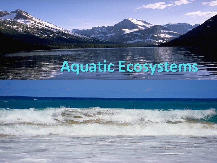 Aquatic Ecosystems 