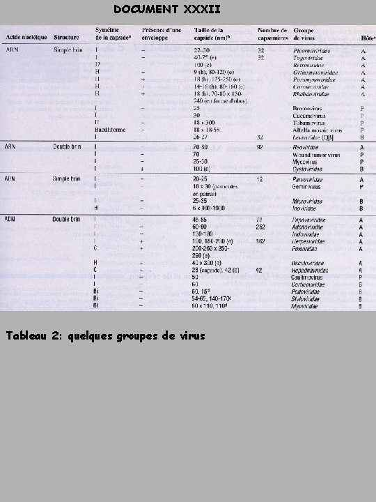 DOCUMENT XXXII Tableau 2: quelques groupes de virus 