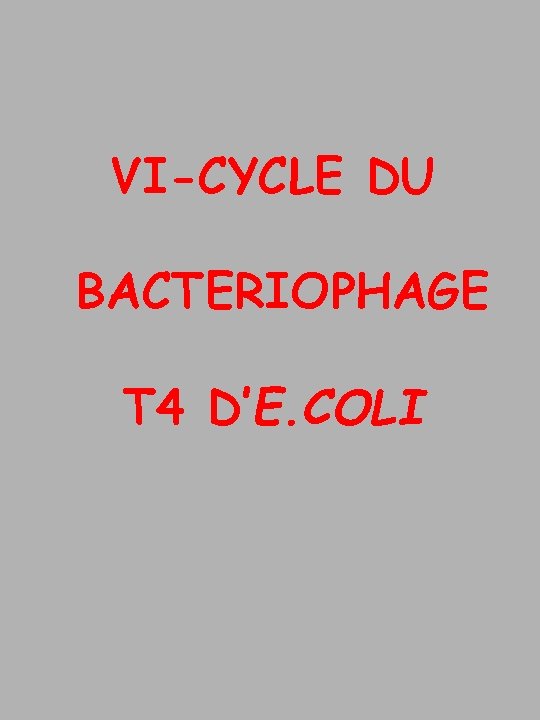 VI-CYCLE DU BACTERIOPHAGE T 4 D’E. COLI 