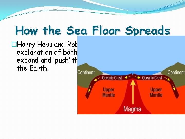 Theory of Continental Drift The continents were once
