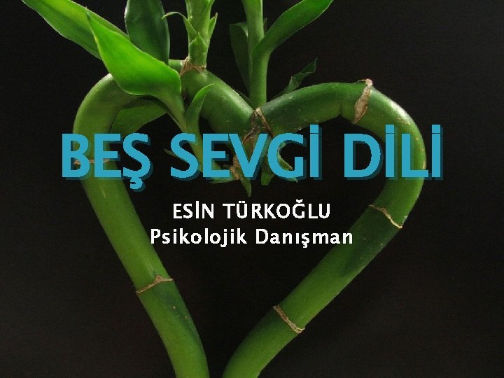 BEŞ SEVGİ DİLİ ESİN TÜRKOĞLU Psikolojik Danışman 