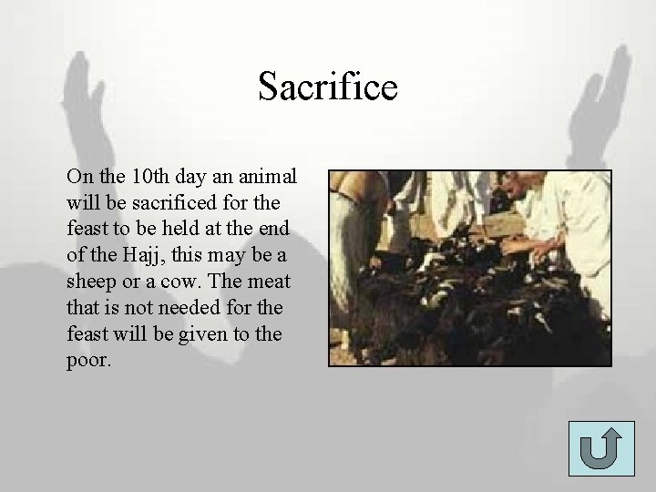 Sacrifice On the 10 th day an animal will be sacrificed for the feast