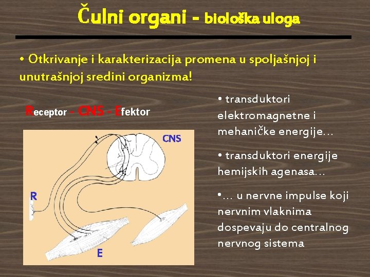 Čulni organi - biološka uloga • Otkrivanje i karakterizacija promena u spoljašnjoj i unutrašnjoj