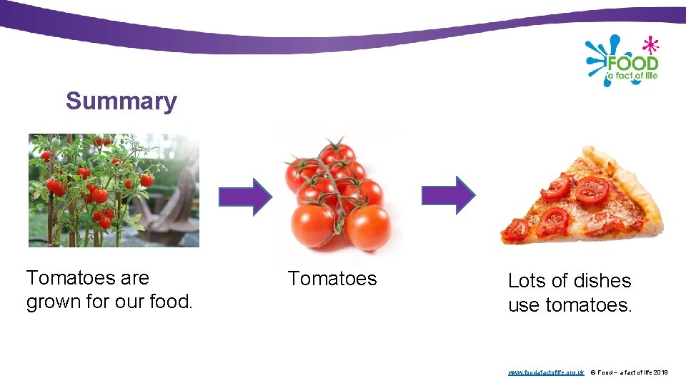 Summary Tomatoes are grown for our food. Tomatoes Lots of dishes use tomatoes. www.