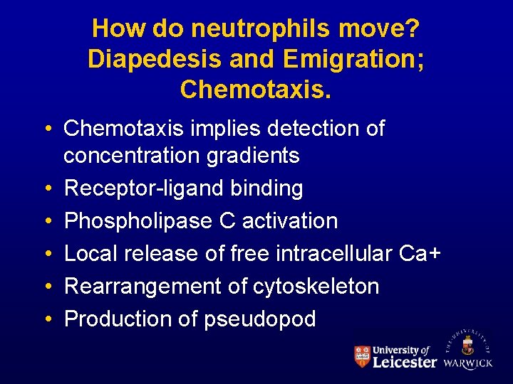 How do neutrophils move? Diapedesis and Emigration; Chemotaxis. • Chemotaxis implies detection of concentration