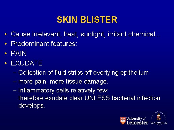 SKIN BLISTER • • Cause irrelevant; heat, sunlight, irritant chemical. . . Predominant features: