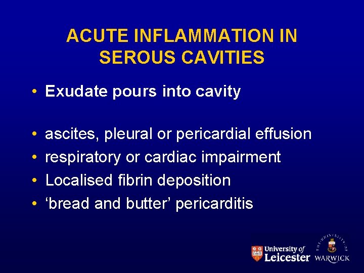 ACUTE INFLAMMATION IN SEROUS CAVITIES • Exudate pours into cavity • • ascites, pleural