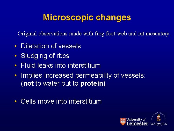 Microscopic changes Original observations made with frog foot-web and rat mesentery. • • Dilatation