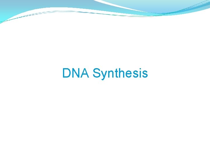 DNA Synthesis 