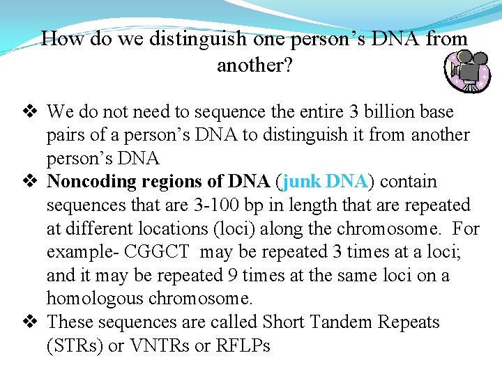 How do we distinguish one person’s DNA from another? v We do not need