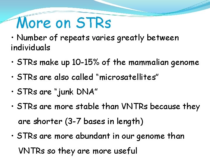 More on STRs • Number of repeats varies greatly between individuals • STRs make