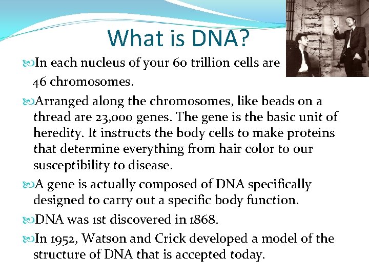 What is DNA? In each nucleus of your 60 trillion cells are 46 chromosomes.