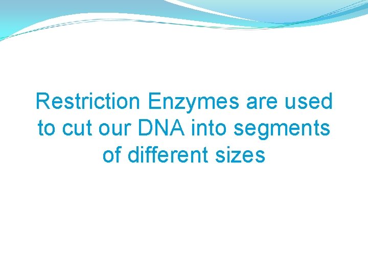 Restriction Enzymes are used to cut our DNA into segments of different sizes 