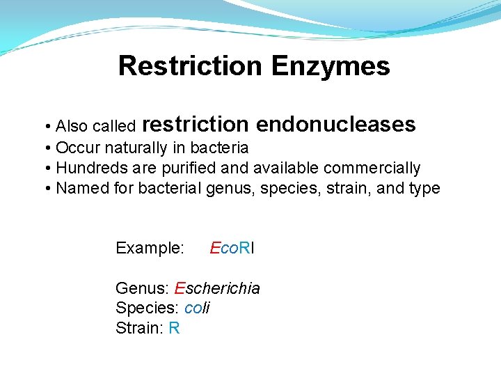 Restriction Enzymes • Also called restriction endonucleases • Occur naturally in bacteria • Hundreds