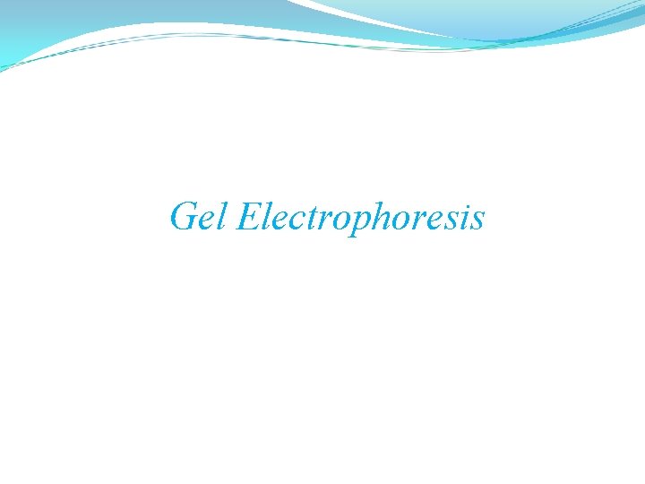 Gel Electrophoresis 