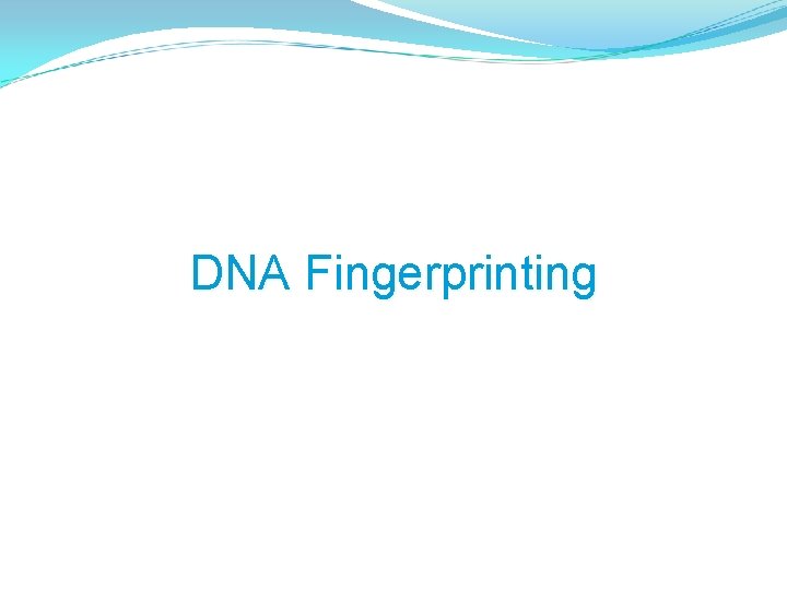 DNA Fingerprinting 
