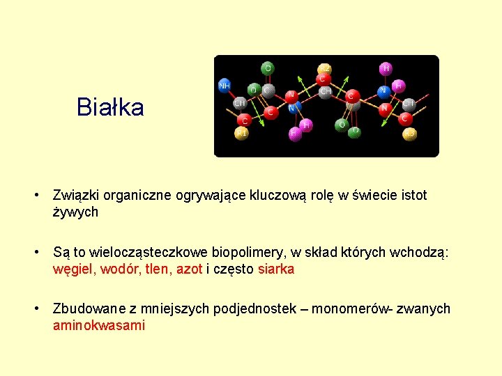 Białka • Związki organiczne ogrywające kluczową rolę w świecie istot żywych • Są to