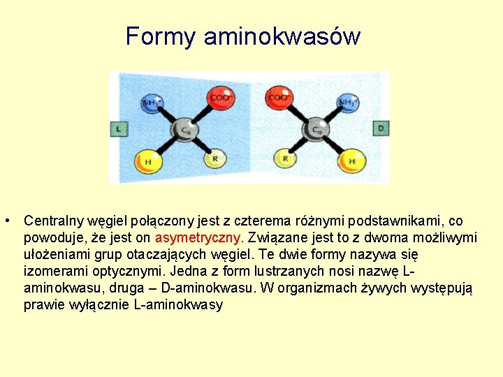 Formy aminokwasów • Centralny węgiel połączony jest z czterema różnymi podstawnikami, co powoduje, że