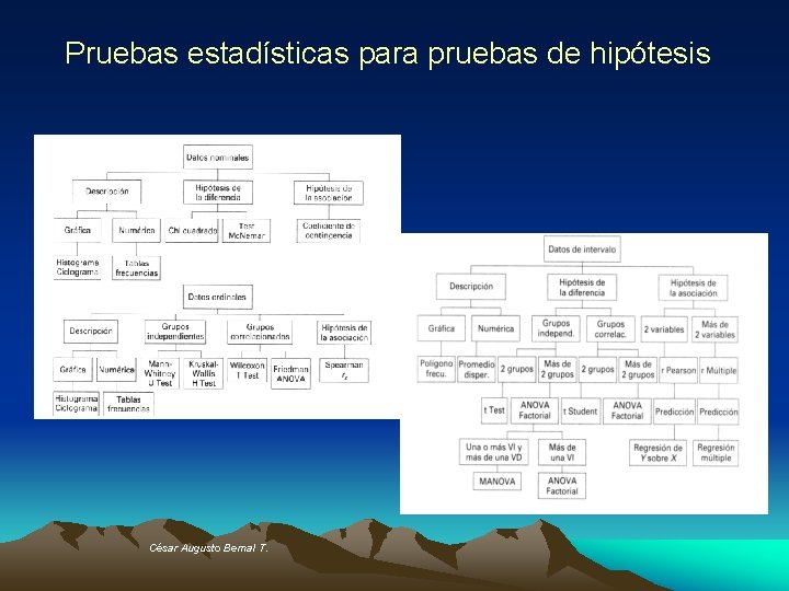 Pruebas estadísticas para pruebas de hipótesis César Augusto Bernal T. 