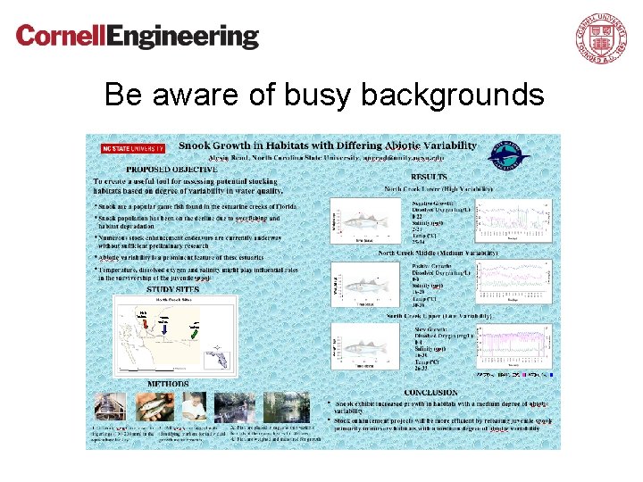 Be aware of busy backgrounds 