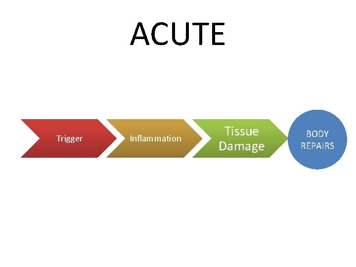 ACUTE Trigger Inflammation Tissue Damage BODY REPAIRS 