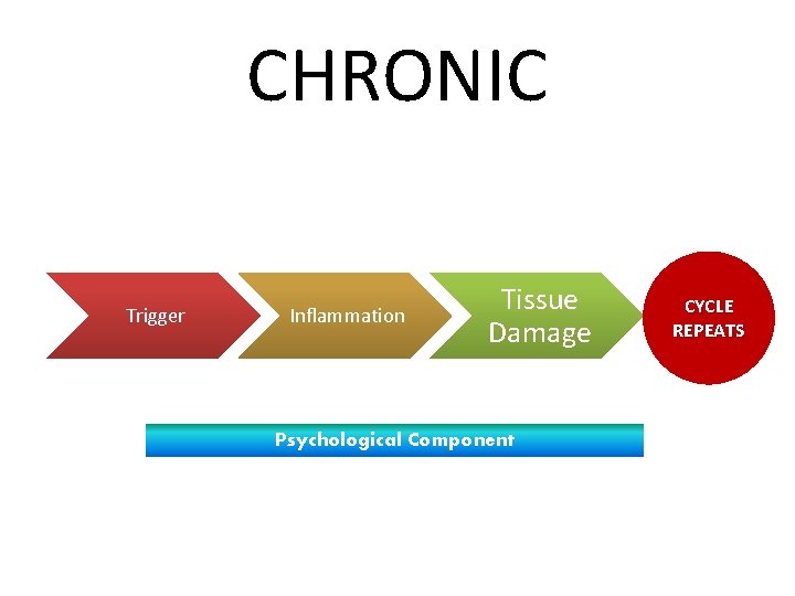CHRONIC Trigger Inflammation Tissue Damage Psychological Component CYCLE REPEATS 
