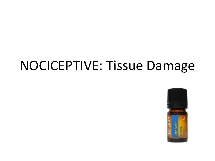 NOCICEPTIVE: Tissue Damage 