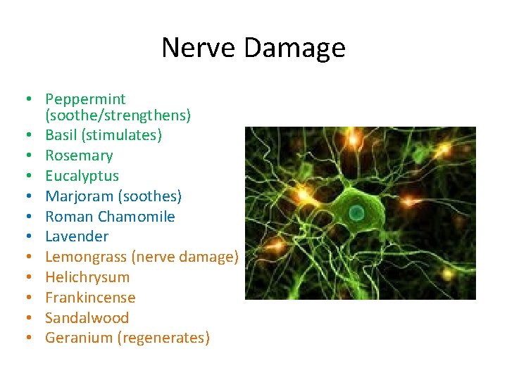 Nerve Damage • Peppermint (soothe/strengthens) • Basil (stimulates) • Rosemary • Eucalyptus • Marjoram