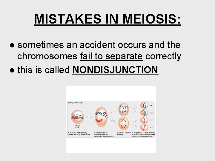 MISTAKES IN MEIOSIS: ● sometimes an accident occurs and the chromosomes fail to separate