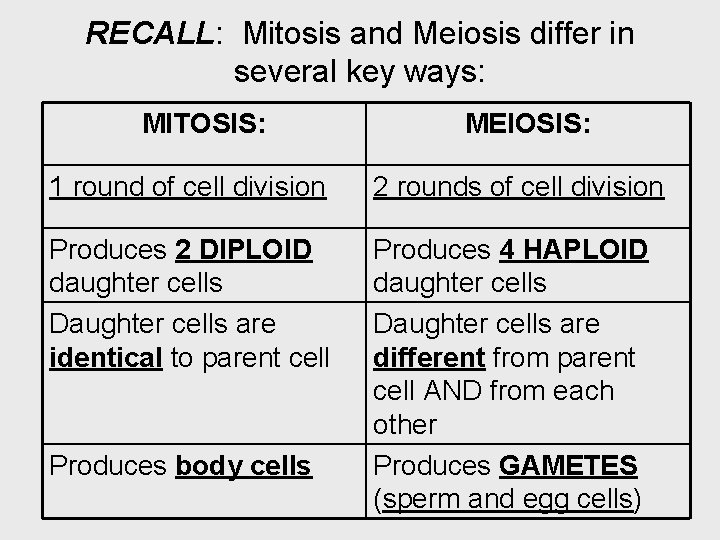 RECALL: Mitosis and Meiosis differ in several key ways: MITOSIS: MEIOSIS: 1 round of