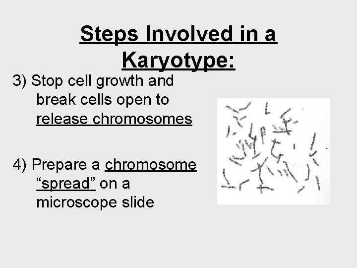 Steps Involved in a Karyotype: 3) Stop cell growth and break cells open to