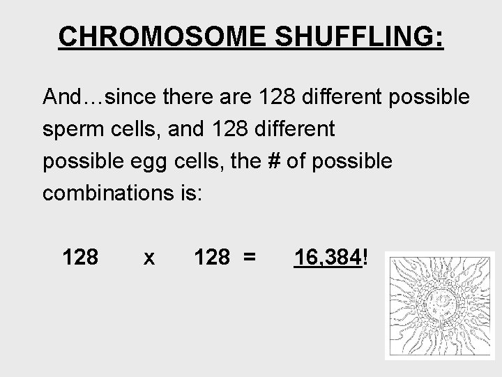 CHROMOSOME SHUFFLING: And…since there are 128 different possible sperm cells, and 128 different possible