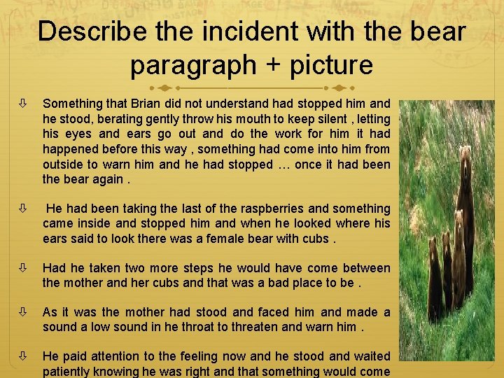 Describe the incident with the bear paragraph + picture Something that Brian did not