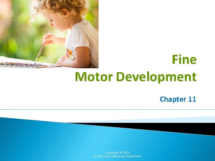 Fine Motor Development Chapter 11 Copyright © 2016 by Holcomb Hathaway Publishers 