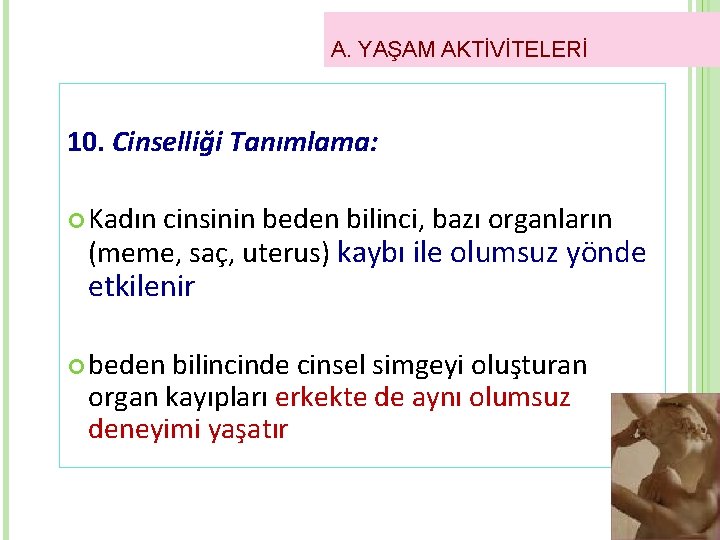 A. YAŞAM AKTİVİTELERİ 10. Cinselliği Tanımlama: Kadın cinsinin beden bilinci, bazı organların (meme, saç,