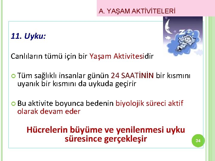 A. YAŞAM AKTİVİTELERİ 11. Uyku: Canlıların tümü için bir Yaşam Aktivitesidir Tüm sağlıklı insanlar