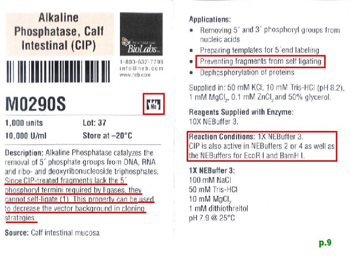 p. 9 