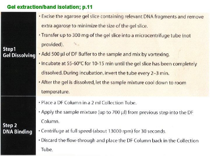 Gel extraction/band isolation; p. 11 