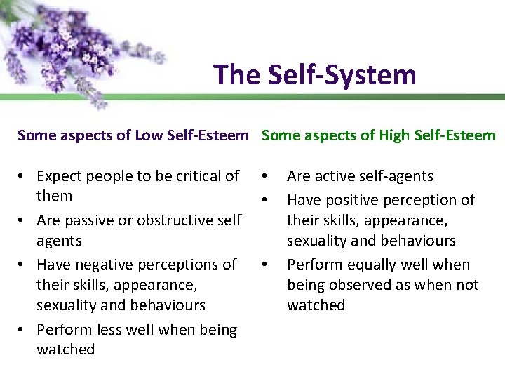 The Self-System Some aspects of Low Self-Esteem Some aspects of High Self-Esteem • Expect