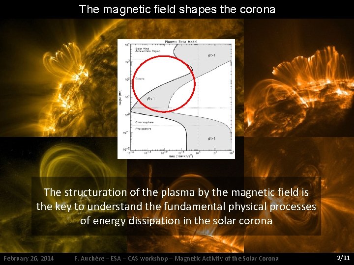The magnetic field shapes the corona The structuration of the plasma by the magnetic