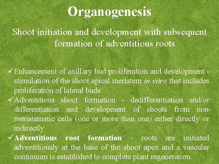 Organogenesis Shoot initiation and development with subsequent formation of adventitious roots üEnhancement of axillary