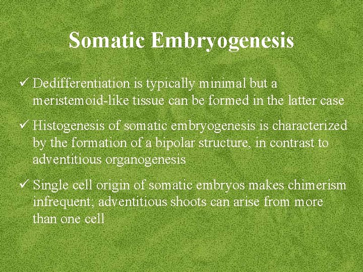 Somatic Embryogenesis ü Dedifferentiation is typically minimal but a meristemoid-like tissue can be formed