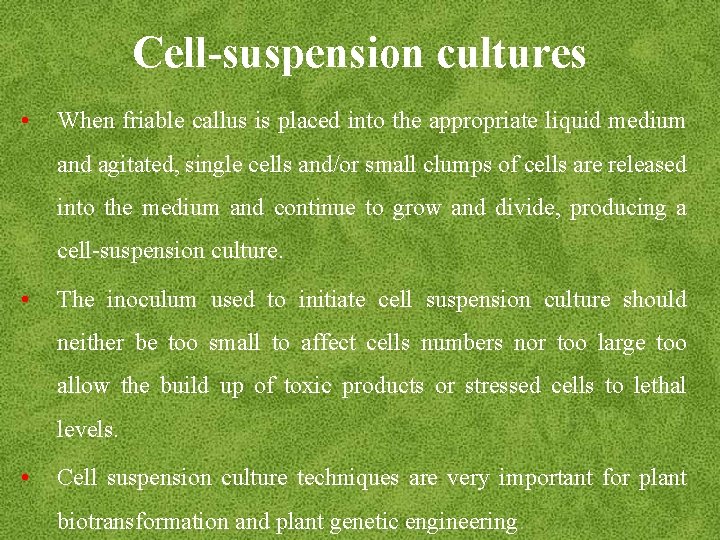 Cell-suspension cultures • When friable callus is placed into the appropriate liquid medium and